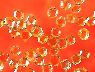 D001_Synthetic Diamond Single Crystal